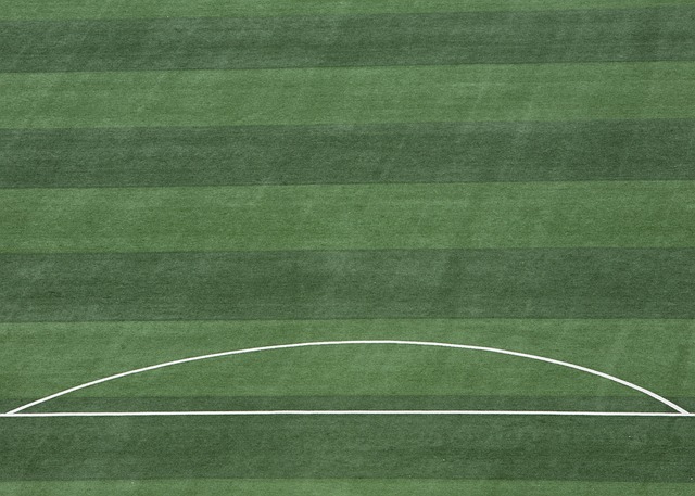 轮制裁的出 轮制裁的出