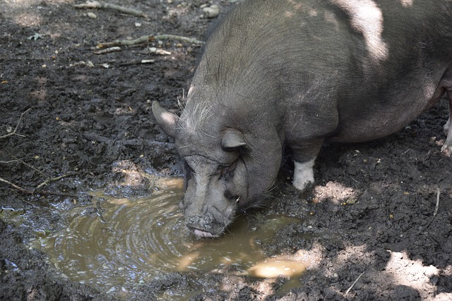 让国米领先 让国米领先